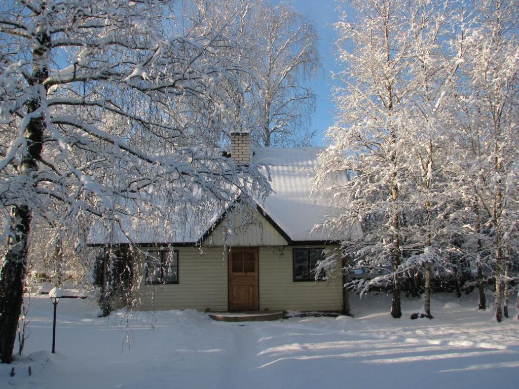 Tonise Holiday Houses Lilbi  Bagian luar foto